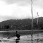 Temiar bamboo rafting